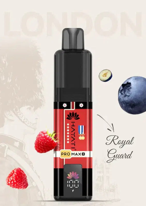 Hayati_Pro_Max_6K_Souvenir_Edition_England_Royal_Guard_Bestvapes